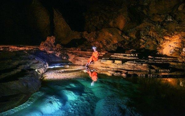 逃离外星人森林