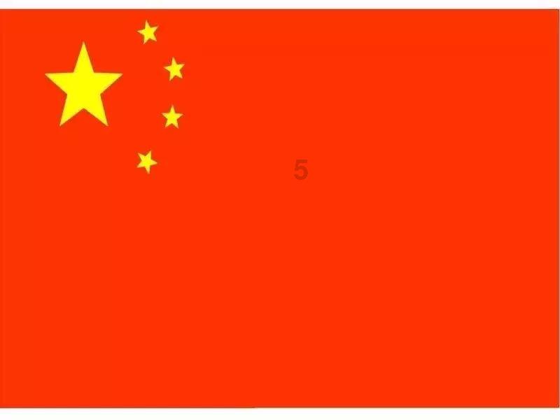 森系丛林